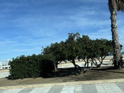 108-22-12-2025 IMG_3263